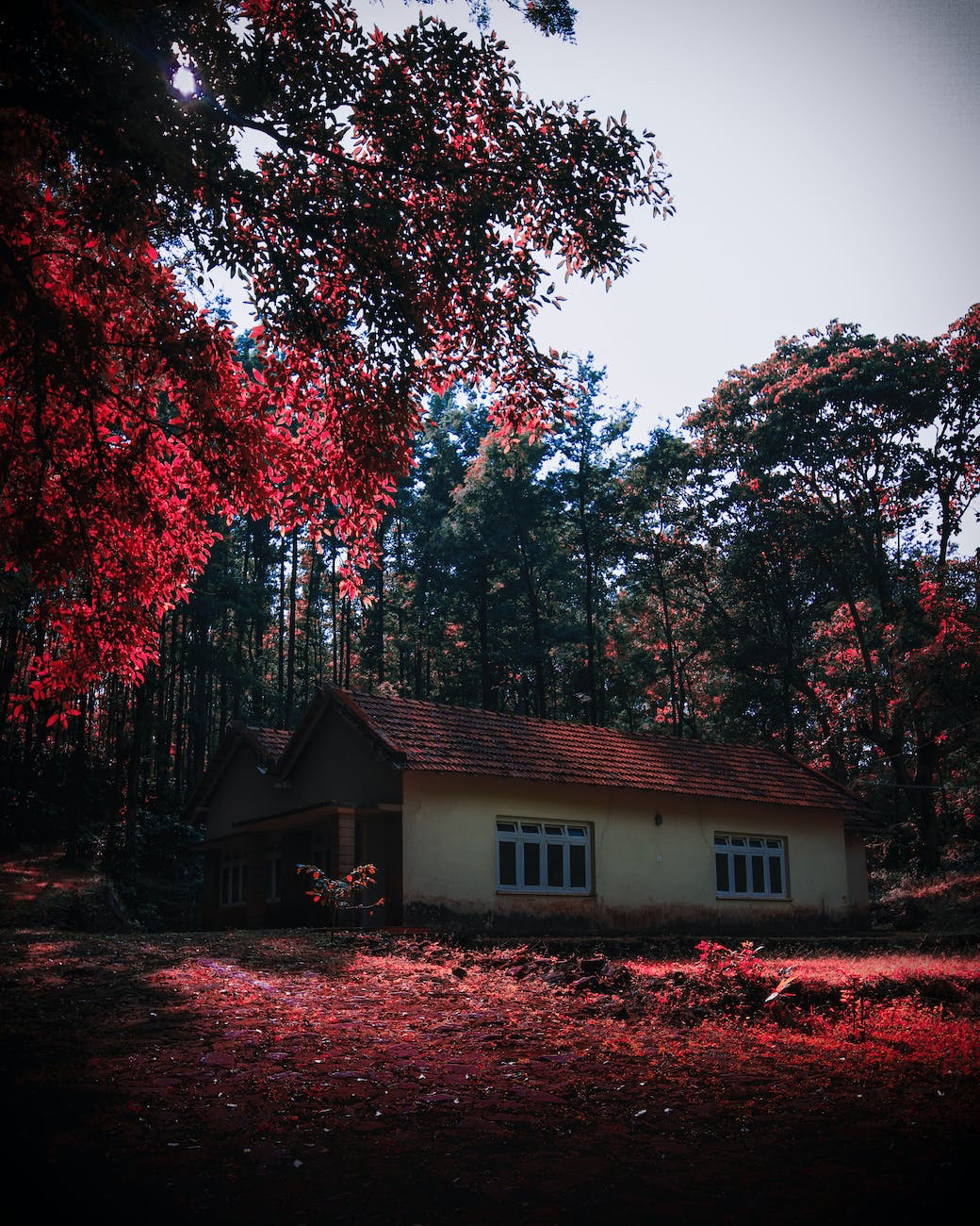 India Housing is Open to Relocation Families of Different Geographic Regions