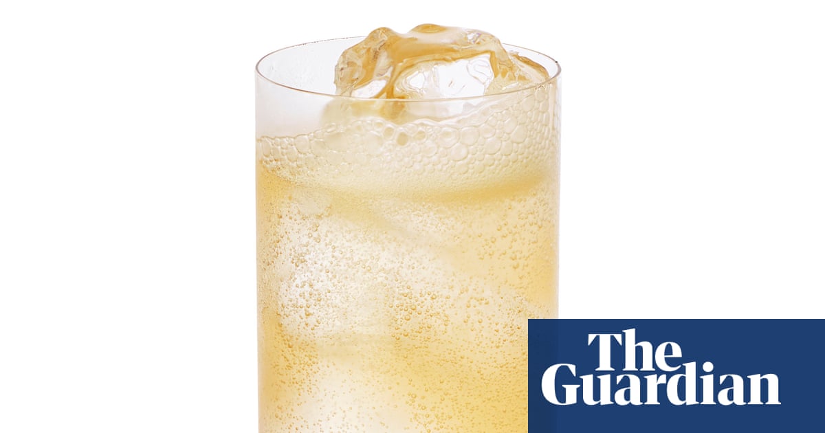 Cocktail of the week: Llama Inn’s chilcano – recipe | The good mixer