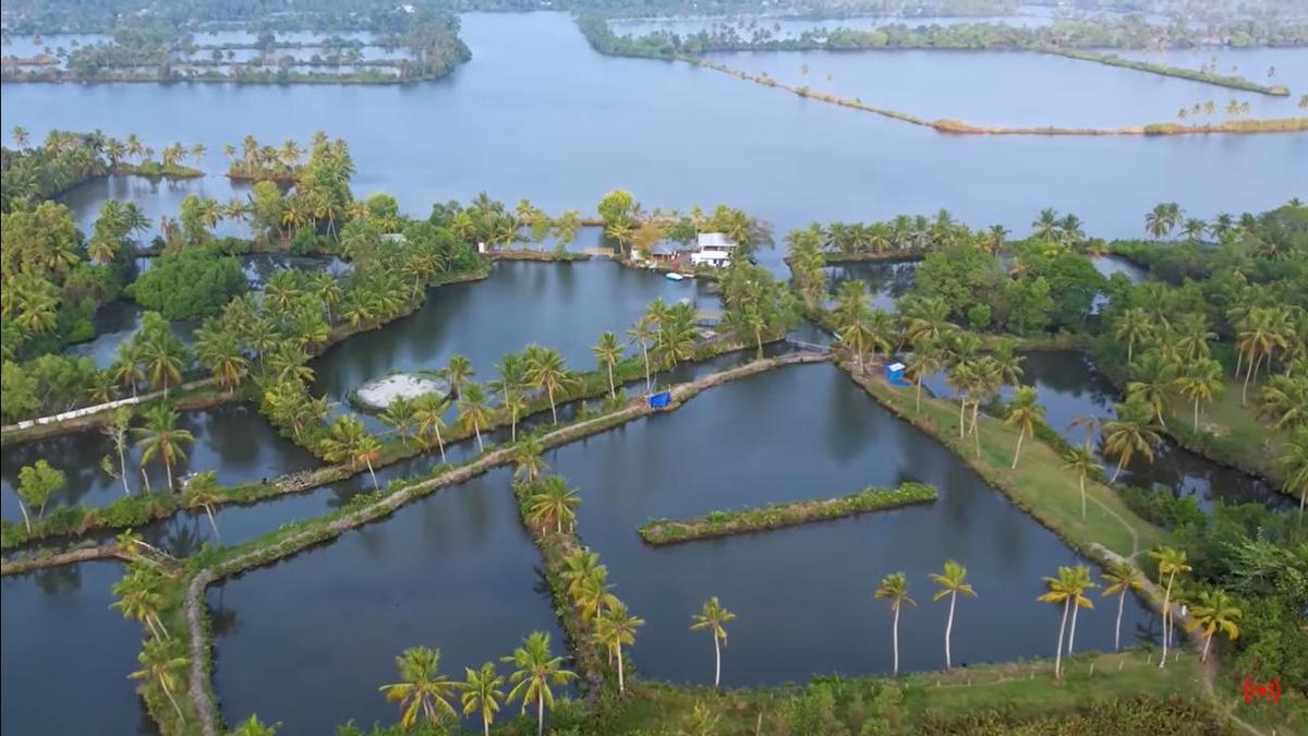 KSINC drops plan to operate package tours from Marine Drive to Kakkathuruthu island
