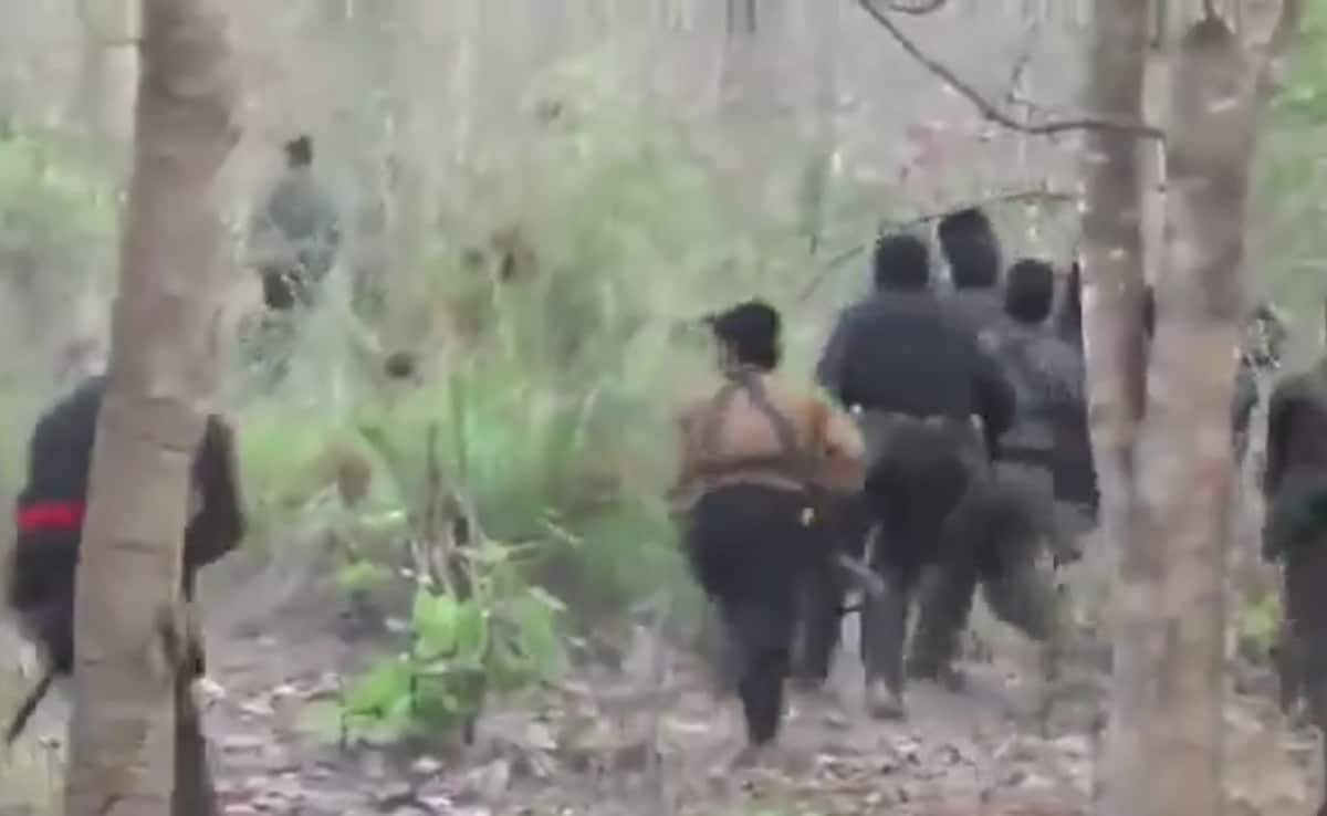 6 Maoists Killed In Encounter With Security Forces In Jharkhand