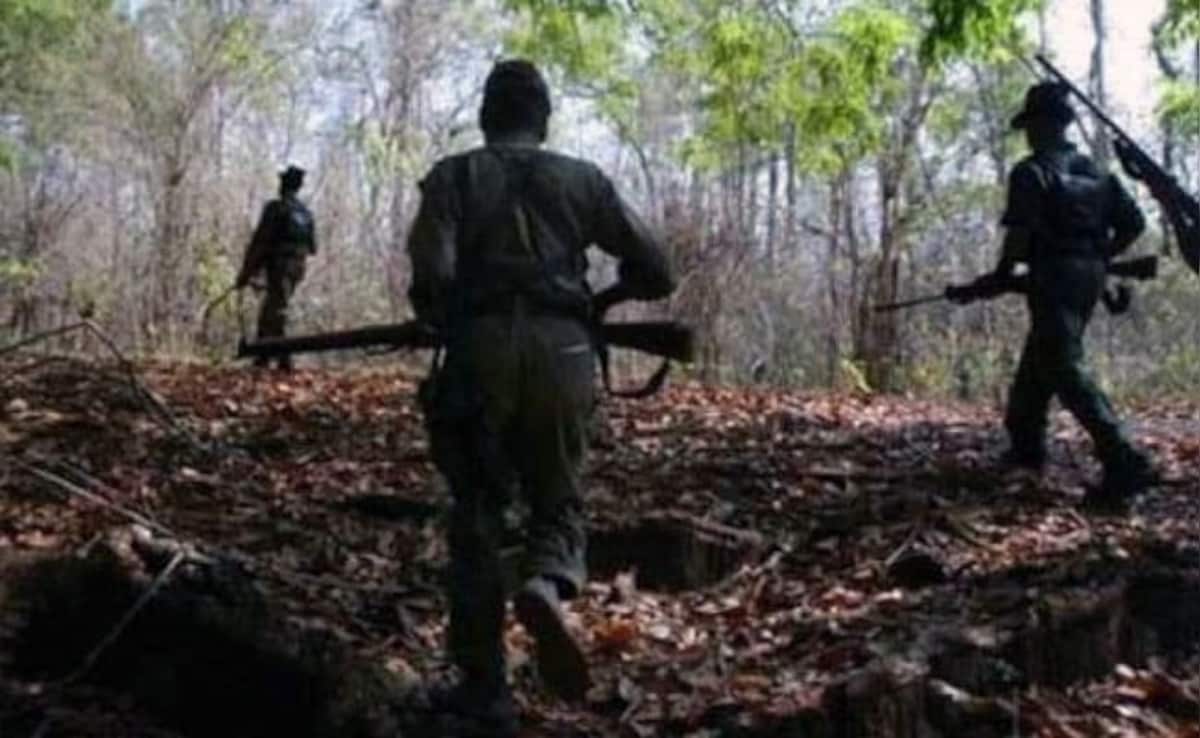 2 Maoists Killed In Encounter With Security Personnel In Chhattisgarh