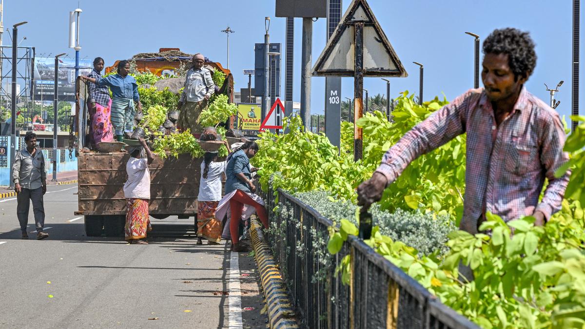 Beautification drive on for Partnership Summit in Vizag