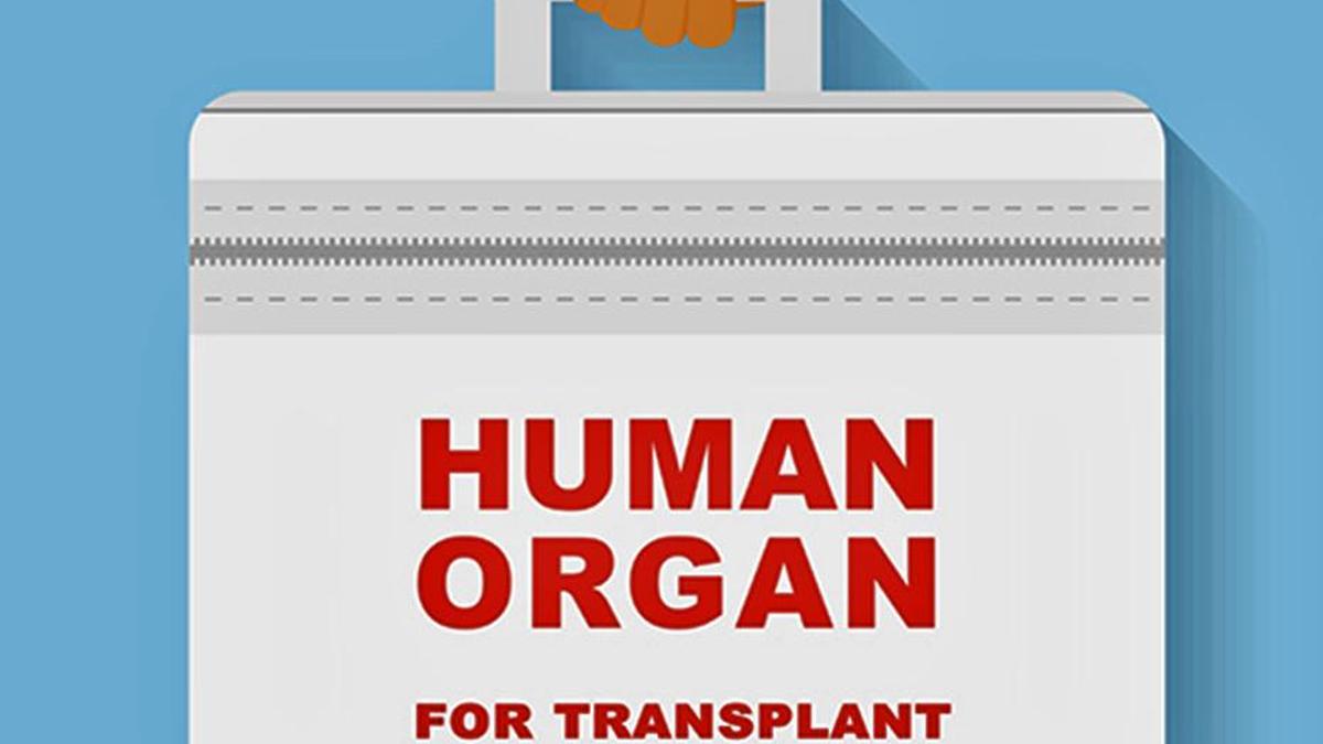 Over 500 BPL patients receive free life-saving organ transplant in Karnataka since 2019